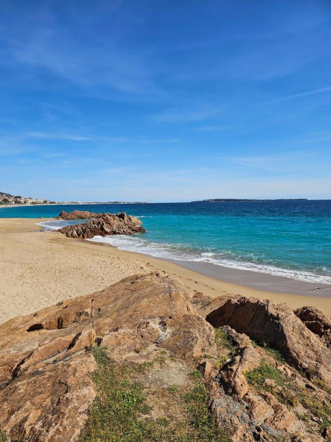 Licorne G14 Apartment Cannes Bagian luar foto